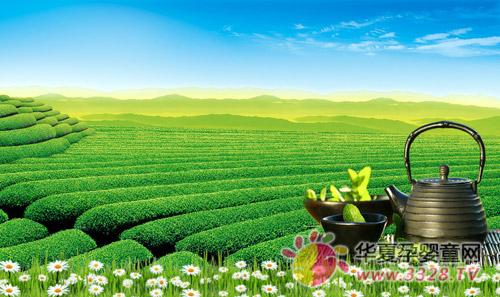 �����Ʒ�������ɫ��Ʒ