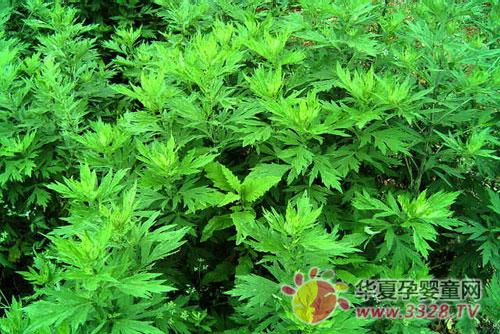 ���ݵĹ�Ч������