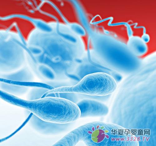 ���Ӵ��ʱ���ж೤