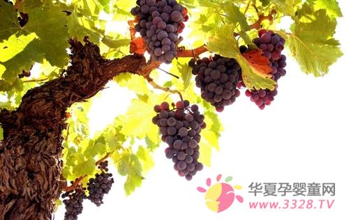 �������ܳ�������