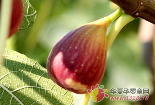 �и������ʲô��