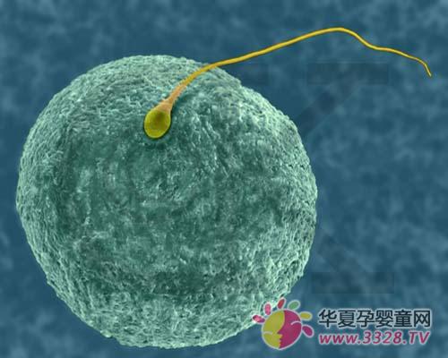 ��ϸ���ж��