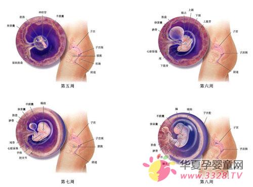 �и��������仯