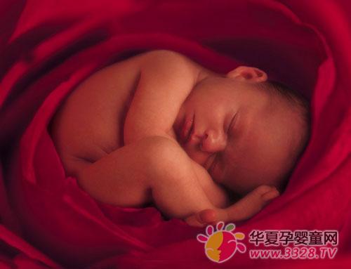 ̥��28-32�ܵı仯