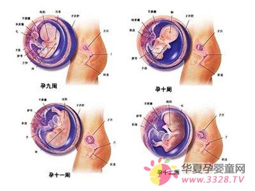 ��������������