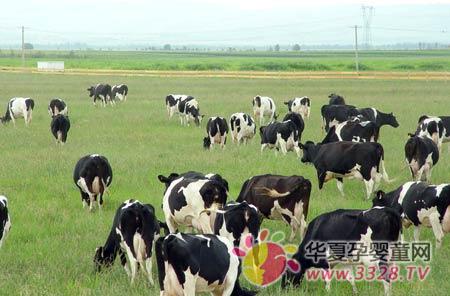 ��������γ45�ȴ���ɫ��Դ��Ӧ��