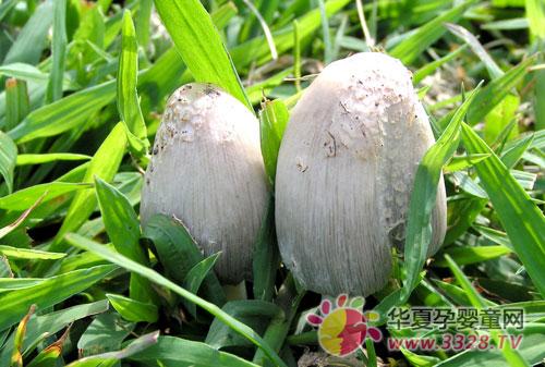 ������ԡ����ȡ�����ʳ�������