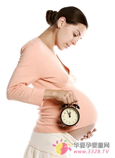 ������ֽ�⻳��׼��