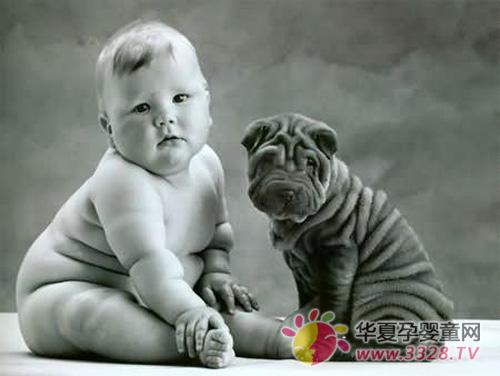 ���ֱ�������ʳ����