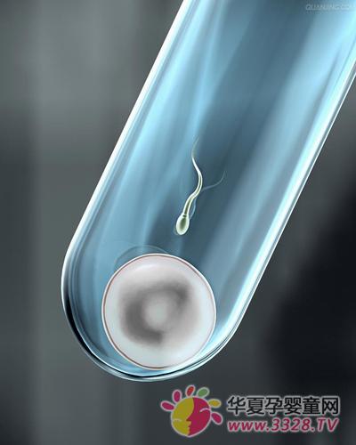 ȫ�������Թ�Ӥ����������о�������ֳ����