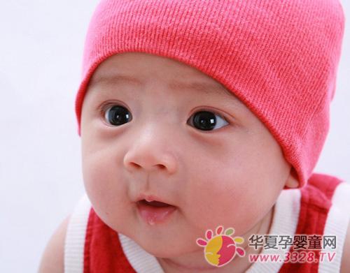 ��������֪ʶ