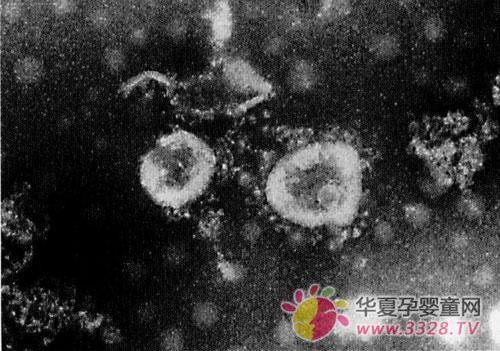 ��״�����Ը�к��ô����