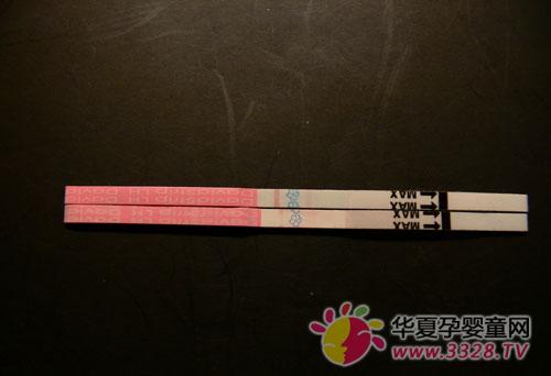 ������ֽǿ���������