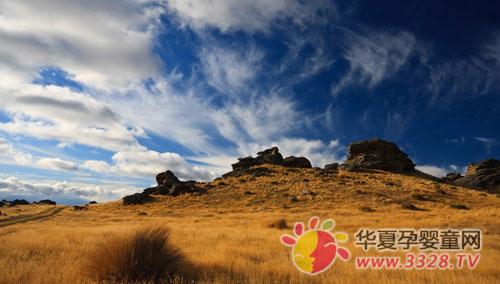 ��������� �̷��ֽ�����һƬ