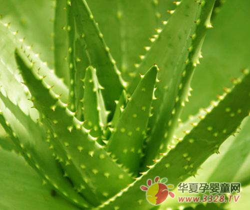 ׼�����мǣ�����Զ��«��