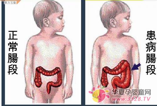 �����������Ծ޳�����������