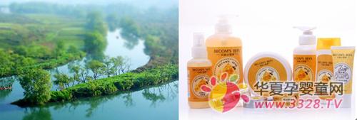 ����С�۷䱴��������̽���й��������