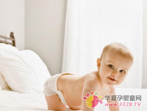 ��������ʪ����