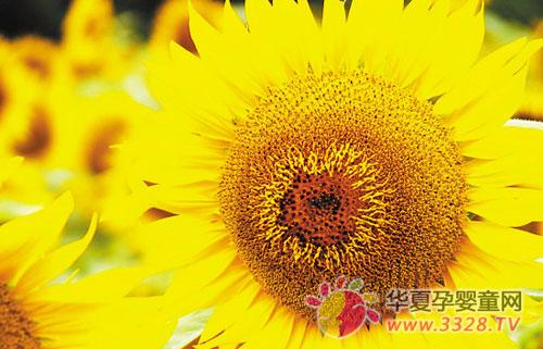 �и�ʧ�߳�ʲô��