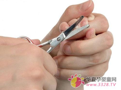 ��������ָ����Ҫ����