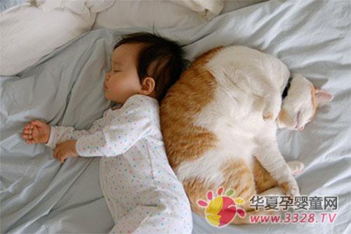 �����������η�