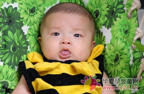 ʳ�����������������