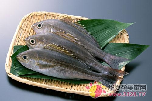 DHA���и�������������