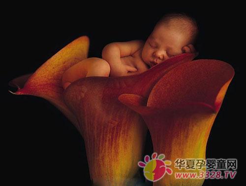 ���������Ӹ�ʳ��Ŀ��