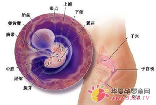 ҽԺ���ȷ�ϻ���