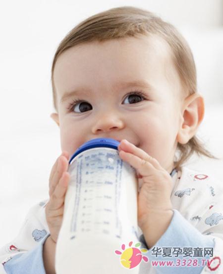 Ӫ��Ҳ���� ����ʳ����������