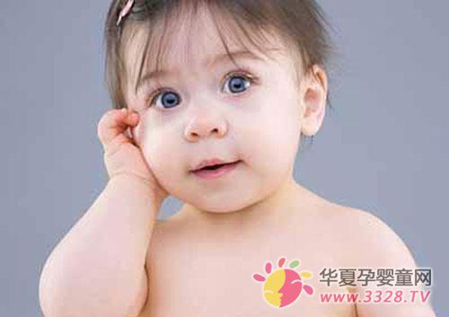 ����ı�������ץ��