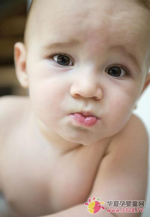 ���õ���ʳ�ṹ��������Ư������