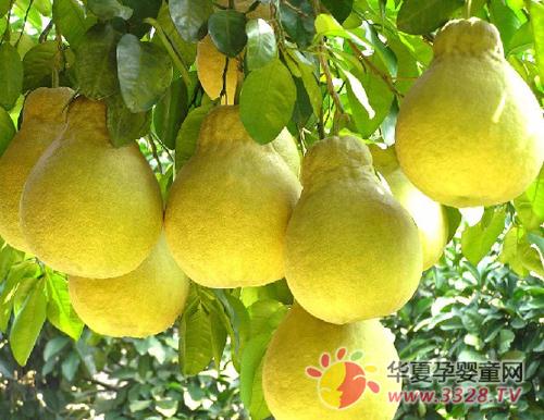 �и��ܷ������