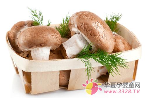 �и��ɳ��㹽�ٽ�̥������_�㹽��Ӫ������