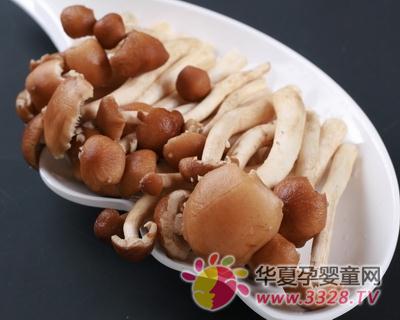 ����Ϊʲô��ϲ��������ʳ�