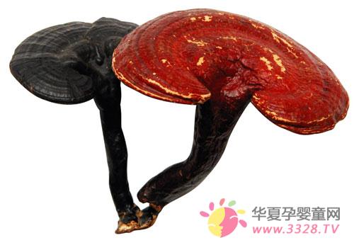 �и����Գ���֥��_��ʲô�ô�