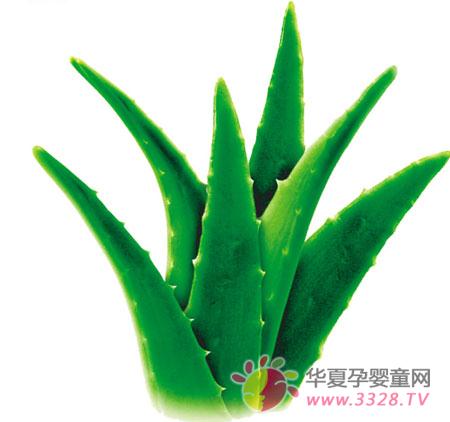 �и����Գ�«����