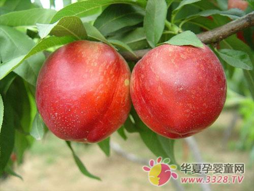 �и����Գ�������