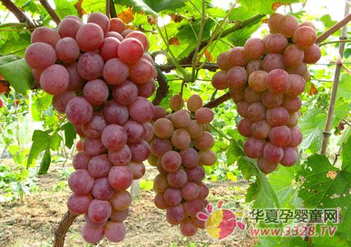 ��ʲôˮ�����۾���