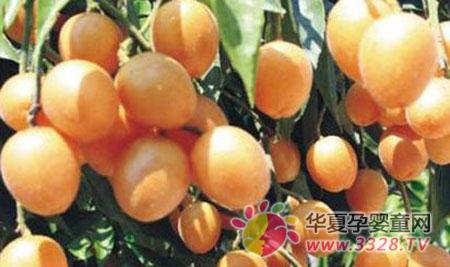 �и����ԳԻ�Ƥ��