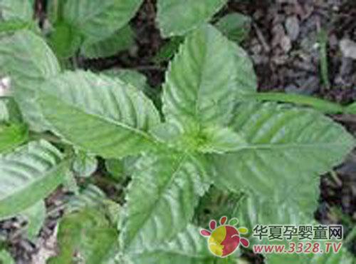 �и����Գ��ɲ���