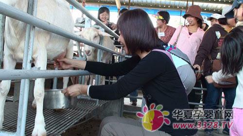 ��ô��Ӥ�׶��ĺ�����