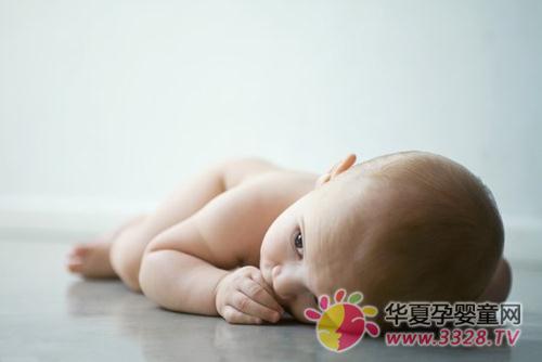 п�Ա������������