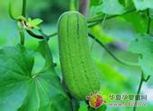 �����˿�Ϻò���