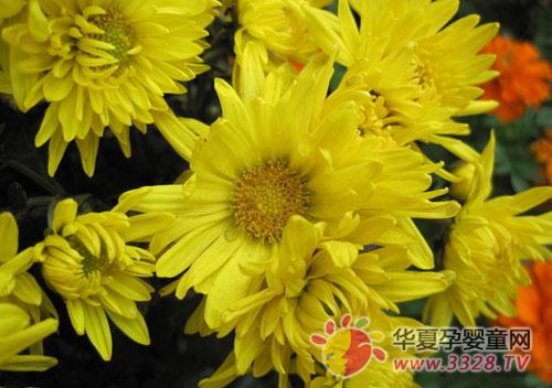 �ļ������ϻ���ô��