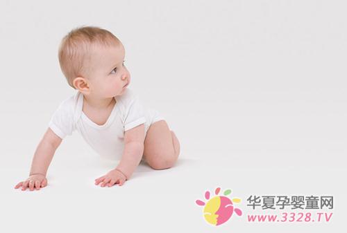 ţ���鱦��Ҫ����