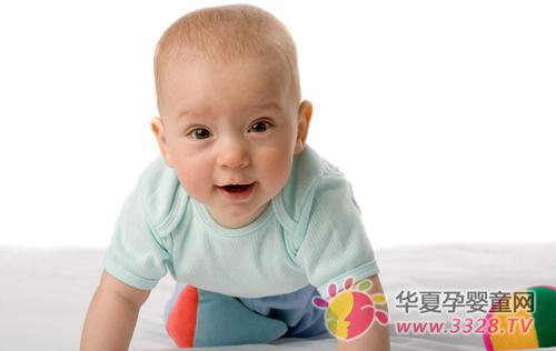 �������Բ�������ʳ��