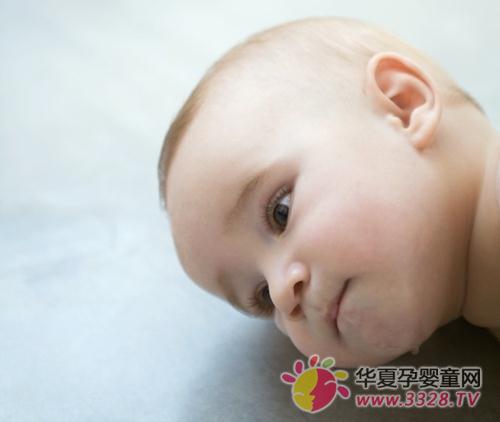 ţ����ֻ������ʳ��