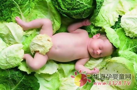 ����ƶѪ���ʳ����