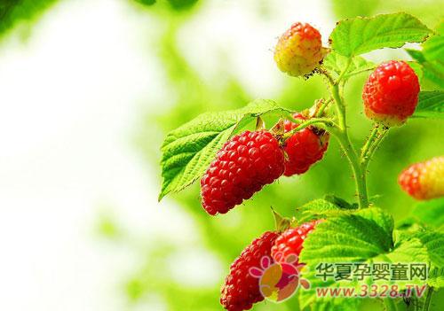 ����������Ҷ������Щ������